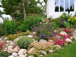Rock Garden Ideas Flower Photograph Rock Garden Landscapin Rock Garden Rock Garden Landscaping Decorative Rock Landscaping
