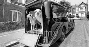 Pin On Rolls Royce Hearses