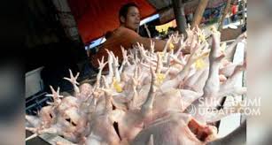Harga dada ayam di pasar. Naik Harga Daging Ayam Di Pasar Palabuhanratu Sukabumi Rp35 Ribu