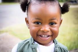 Brown Bee Photography