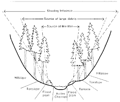 Values and functions of riparian areas Riparian Zone Defined In Terms Of Zones Of Influence Of Streamside Download Scientific Diagram