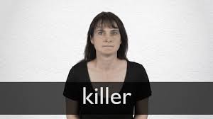 French Translation Of Killer Collins English French Dictionary