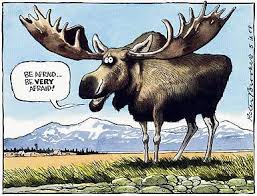 Maybe you would like to learn more about one of these? New Year S Levee And Moose Milk Cape Breton News