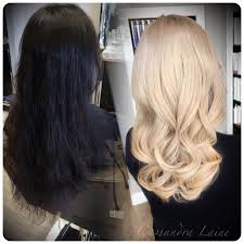 Dramatic Transformation Jet Black To Platinum In One Day Bleaching Black Hair Dark To Light Hair Black To Blonde Hair