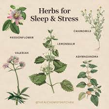 Herbs For Sleep Stress The Alchemist S Kitchen Herbs For Sleep Medical Herbs Herbal Healing