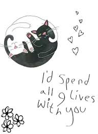 I Want To Get A Tattoo That Says 9 Lives Cause I Had So Many Close Calls 3 Cat Quotes Cat Art I Love Cats