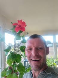 Growing Sea Hibiscus for Bonsai in Florida