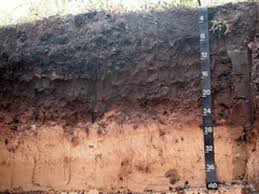 Maybe you would like to learn more about one of these? Heavy Clay Soils Improving Landscape Drainage