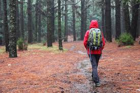 Maybe you would like to learn more about one of these? How To Survive In The Woods Outdoor Survival Skills
