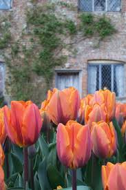 Pin On Sissinghurst Garden