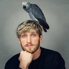 Logan paul at hard rock stadium in miami gardens, fla. Logan Paul Some Of My Best Videos Facebook