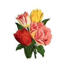 Cool tribal flame tattoo stencil. 29 Tulip Flower Tattoos Designs And Stencils Collection