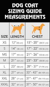 Cairn Terrier Weight Chart