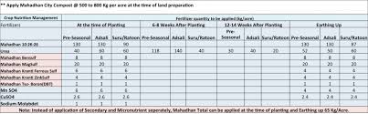 Mahadhan Sugarcane Farming Tips Organic Fertilizer For
