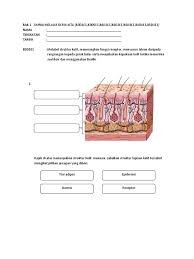 Latihan sains tahun 1 deria manusia. Bab 1dunia Melalui Deria Kita B3 B4 B5
