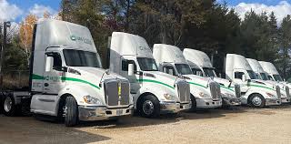 Image result for Van Erden Green 1999 Truck