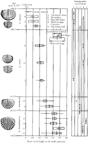Http Www Don Lindsay Archive Org Creation Eocoelia Html Powerpoint Presentation Lesson Plans Evolution