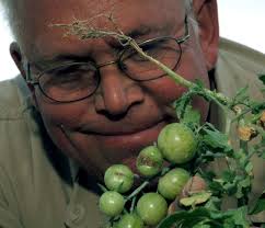 Garden in the desert > Air Force > Article Display