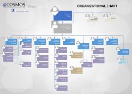 Organizational Chart Cbs