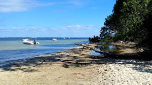 L'étang de cazaux et sanguinet offre une plage familiale et des infrastructures d'informations sur la faune loccale. Lac De Cazaux Et De Sanguinet Grand Lac Public Landes 40 Colinmaire Net