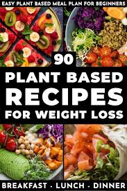 Pin On Macro Recipes