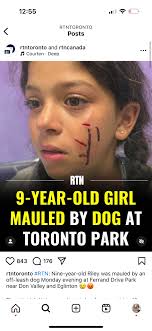 Pitbull attacks despite ban in Toronto