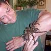 More images for how do huntsman spiders get in your house » 1