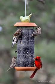 Homemade Bird Feeders For Small Birds Only Diy Sunflower Seed Tower Bird Feeder Homemade Bird Feeders Bird Feeders Bird House Feeder