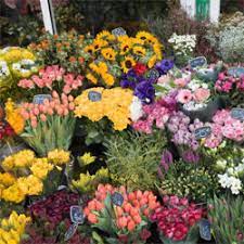 Zflowers is one of the international market leaders for ordering flowers and gifts online. Flowers By Joanne Orewa 0931 Fresh Flower Delivery By Local Florist