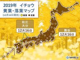 イチョウ カエデの落葉の便り続々 本格的な冬へ 2019年12月16日 エキサイトニュース