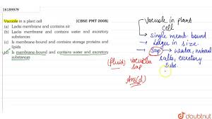 Most plant cells have evolved to use vacuoles as water storage organelles, which provide a variety of functions to the cell. Vacuole In A Plant Cell Biology Q A Doubtnut