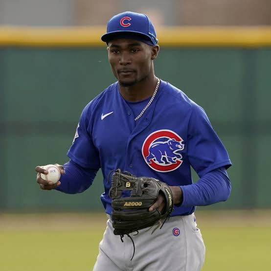 Chicago Cubs prospect Ed Howard is facing a lengthy absence after suffering a significant hip injury – Chicago Tribune