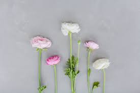 Check spelling or type a new query. Slow Flowers Edible Northeast Florida