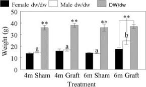Midgets are just normal people whose height is stunted. Average Body Weight Of Female Snell Dwarf Female Dw Dw Black Bars Download Scientific Diagram