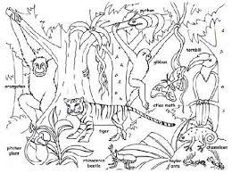Maybe you would like to learn more about one of these? Lukisan Haiwan Di Hutan Cikimm Com