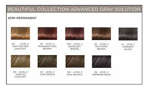 Egyptian plum/burgundy brown verified purchase. Clairol Beautiful Collection Advanced Gray Solution Semi Permanent Hair Color Burgundy Brown 2 Rv 3 Oz Hair World