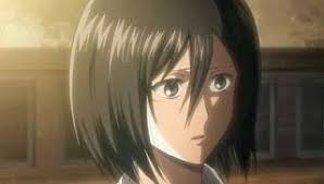 Shingeki No Kyojin Episode 25 Subtitle Indonesia Final Animesoftshare Fansub Anime Series Subtitle Indonesia Attack On Titan Anime Attack On Titan Mikasa
