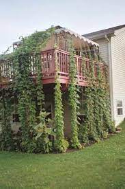 the method you use to construct your trellis is obviously based on how you plan your hop garden layout i was at a hops trellis outdoor living design backyard