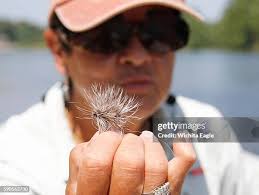 150 Carolyn Parker Photos & High Res Pictures