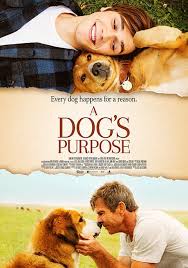 A Dog S Purpose Movie Review Tecrada Com A Dogs Purpose A Dogs Purpose Movie Dog Movies