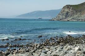 Willow creek bridge/picnic area 11.66. Plaskett Creek Campground Big Sur Hikespeak Com