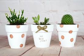 2 Mini Terra Cotta Clay Pots Great For Succulent Cactus Nursery Planter Craft Wedding Party Fa Plant Pot Diy Plant Pot Design Diy Flower Pots