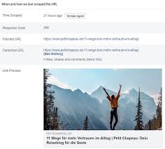 How to use the facebook debugger tool: Facebook Debugger Vorschaubilder Testen Petit Chapeau
