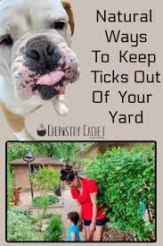 Try to keep deer out of the yard as they are the preferred host of deer ticks. 9 Natural Ways To Keep Ticks Out Of Yards