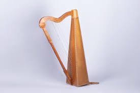 Image result for Harpachne