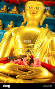 Gold hand sculpture hi-res stock photography and images