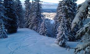 Faites votre choix parmi les nombreuses scènes similaires. Previsions De Neige De Les Rousses A 1400 M