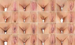 Doch wie sehen überhaupt normale schamlippen aus? Schamlippen Jewiki