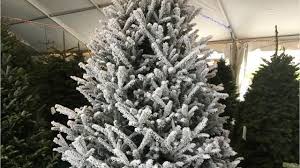 Very meat heavy menu (aside from all the pancake & waffle goodness, which. 48 Christmas Day Restaurants Open In Fort Myers Cape Coral Naples