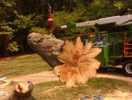 For over 25 years, yardworks, inc. 5 Best Tree Services In Indianapolis